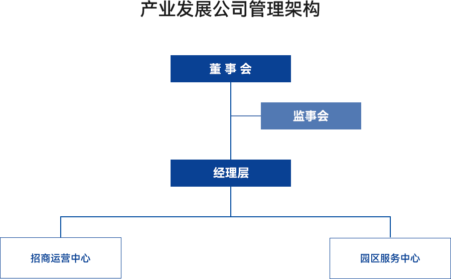 產(chǎn)業(yè)發(fā)展公司管理架構